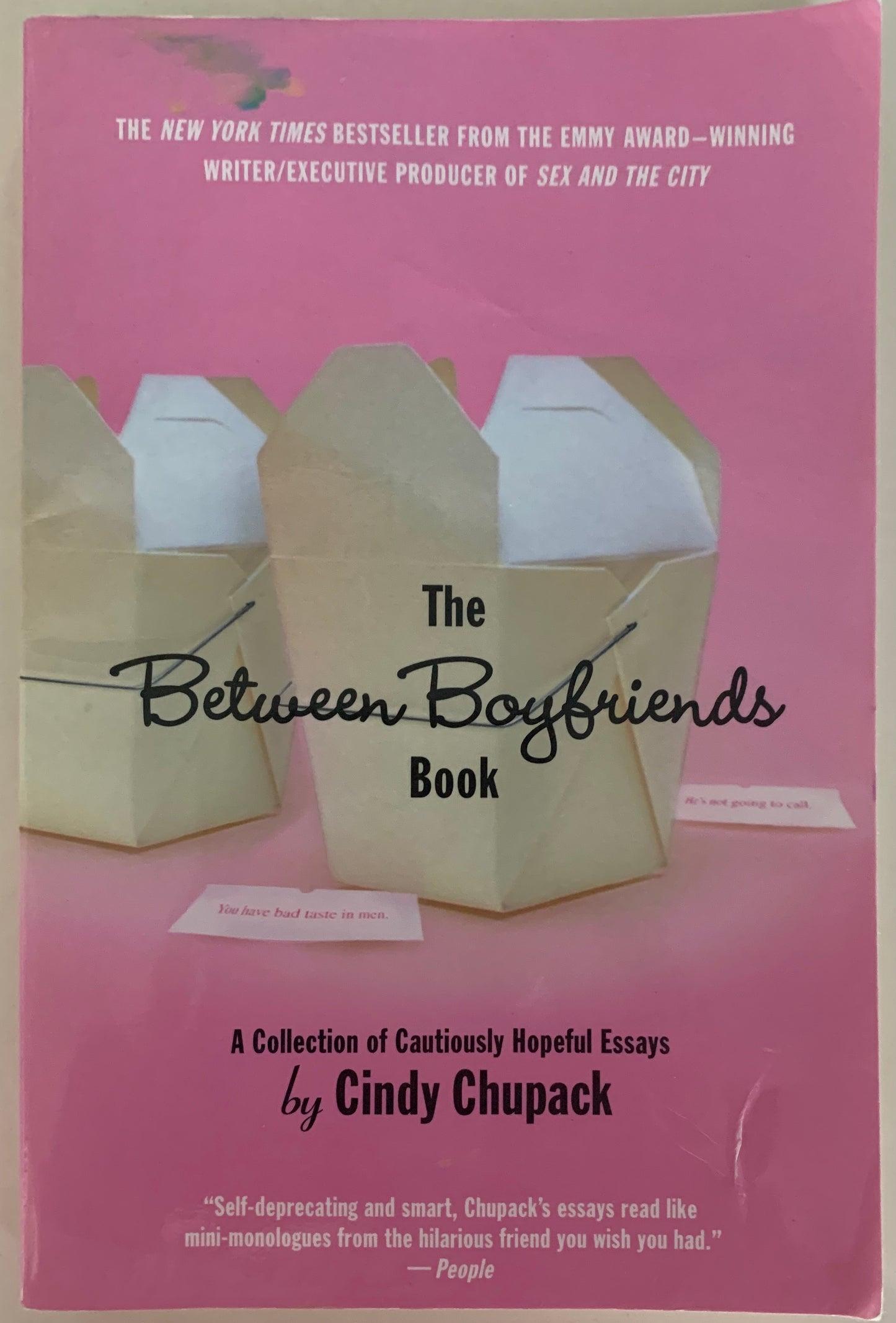 The Between Boyfriends Book